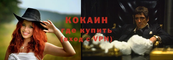 прущие грибы Абдулино