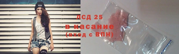 прущие грибы Абдулино