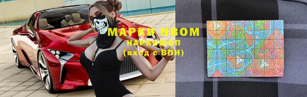 прущие грибы Абдулино
