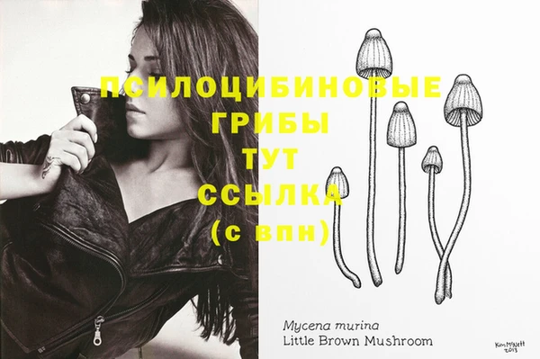 прущие грибы Абдулино