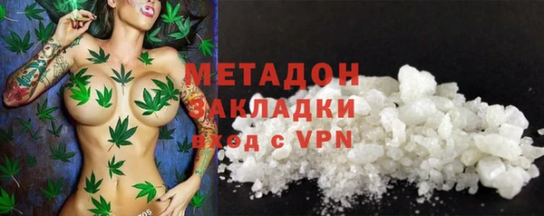 прущие грибы Абдулино
