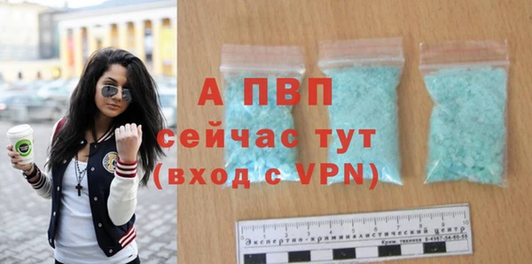 СК Абинск