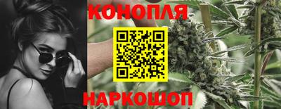сатива Бузулук