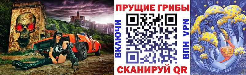 продажа наркотиков  Балахна  Галлюциногенные грибы MAGIC MUSHROOMS 