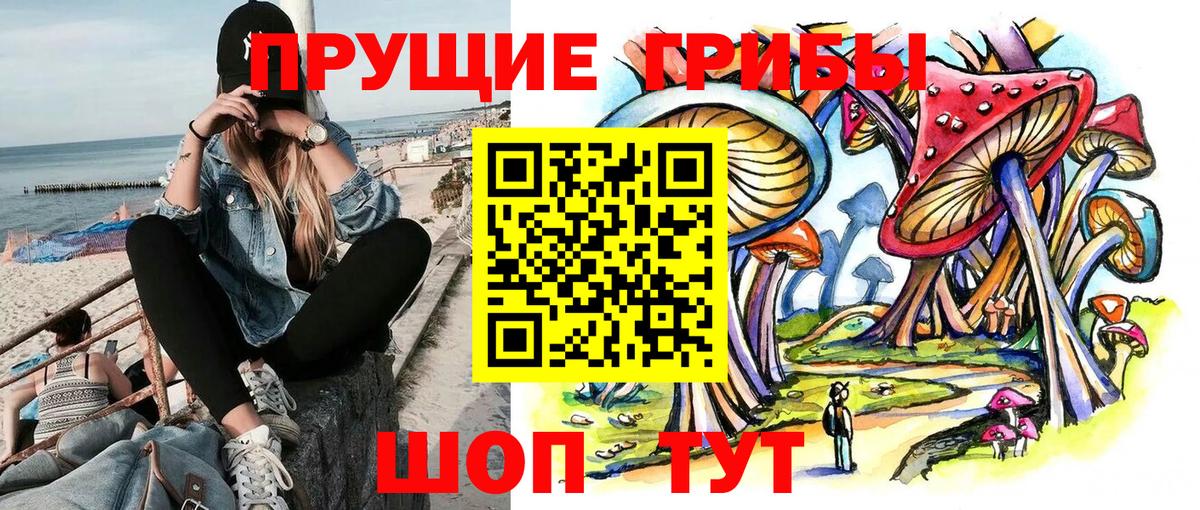 Псилоцибиновые грибы MAGIC MUSHROOMS Балахна