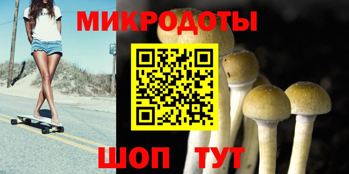 Балахна  Псилоцибиновые грибы Psilocybine cubensis  Псилоцибиновые грибы Cubensis  Вход с VPN 