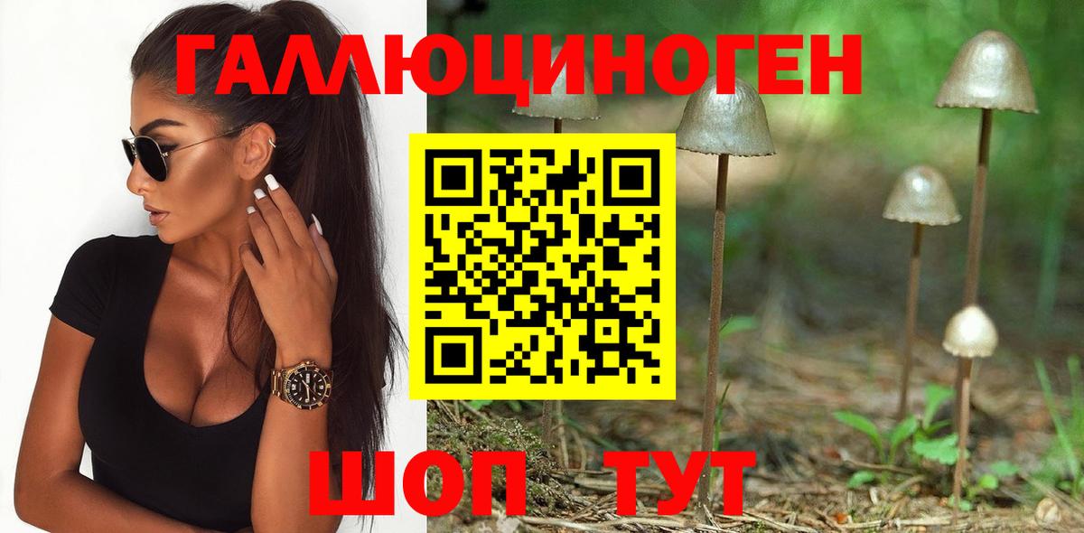 Галлюциногенные грибы MAGIC MUSHROOMS  магазин  наркотиков  Балахна  Вход с VPN 
