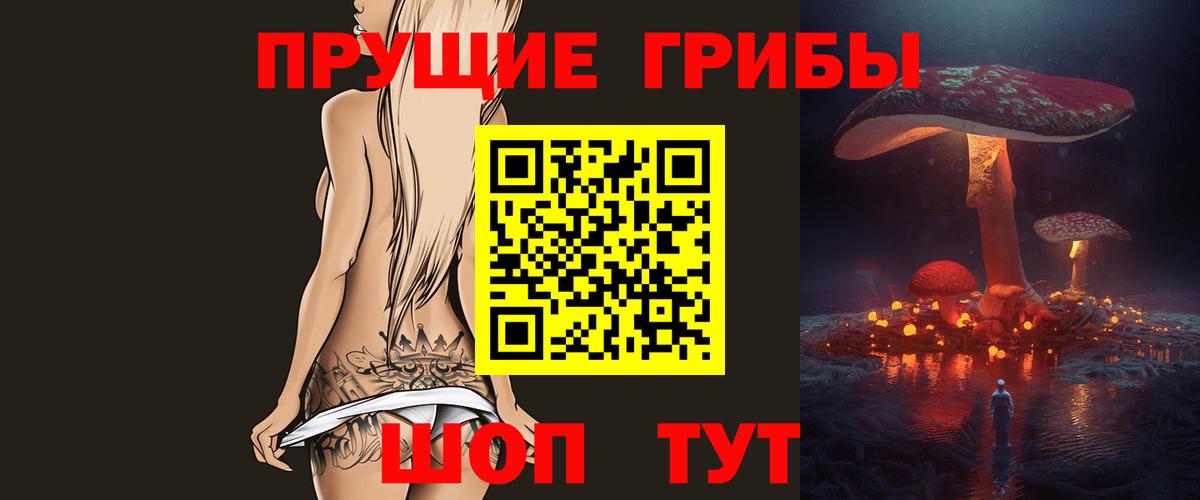 Псилоцибиновые грибы Cubensis Балахна