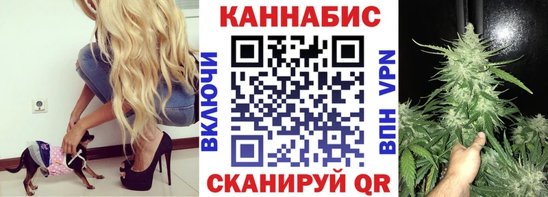 Конопля план Балахна