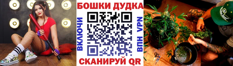 Шишки марихуана Amnesia Балахна